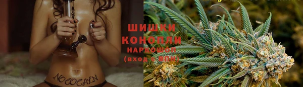 apvp Аркадак