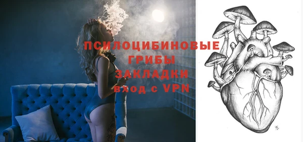 apvp Аркадак