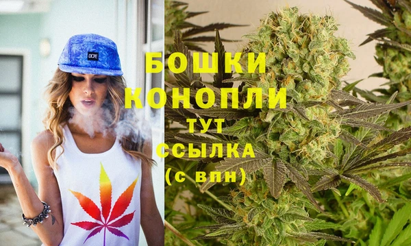 apvp Аркадак