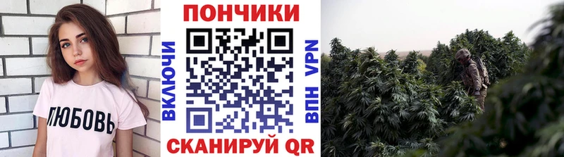 Бошки марихуана LSD WEED Калининград